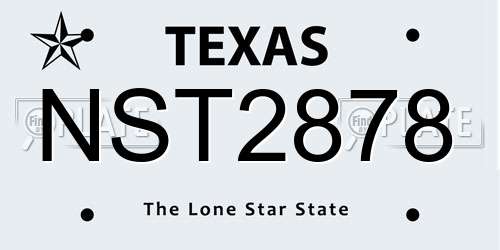 NST2878 Texas License Plate