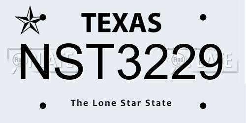 NST3229 Texas License Plate
