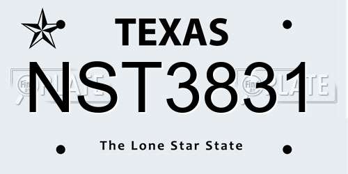 NST3831 Texas License Plate