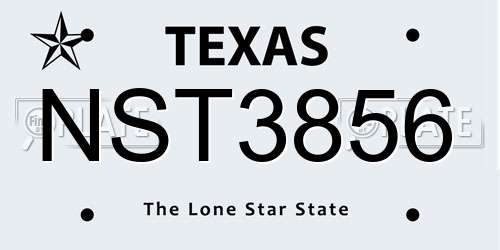 NST3856 Texas License Plate