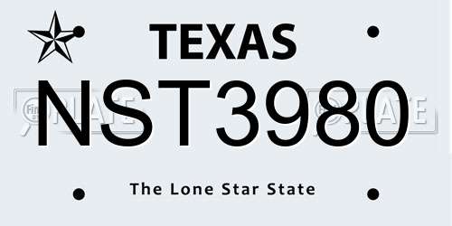 NST3980 Texas License Plate