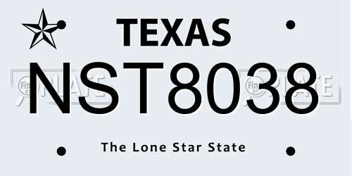 NST8038 Texas License Plate