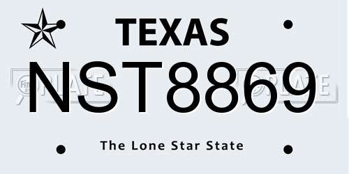 NST8869 Texas License Plate