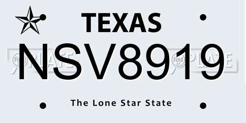 NSV8919 Texas License Plate