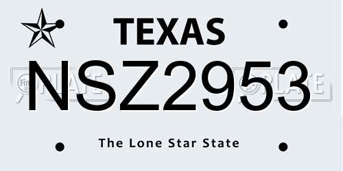 NSZ2953 Texas License Plate