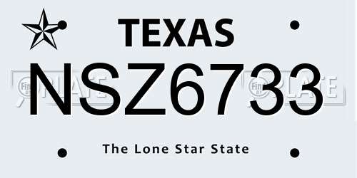 NSZ6733 Texas License Plate