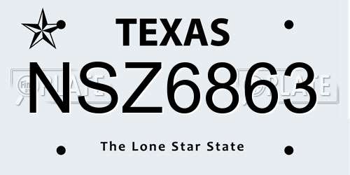 NSZ6863 Texas License Plate
