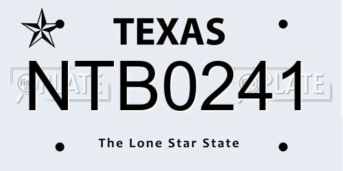 NTB0241 Texas License Plate