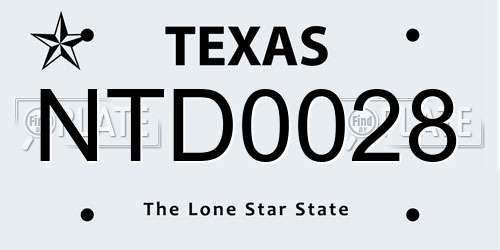 NTD0028 Texas License Plate