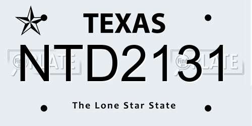 NTD2131 Texas License Plate
