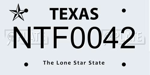 NTF0042 Texas License Plate