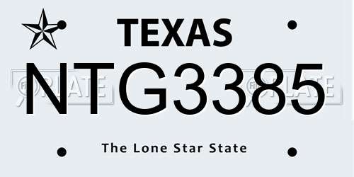 NTG3385 Texas License Plate