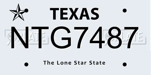 NTG7487 Texas License Plate