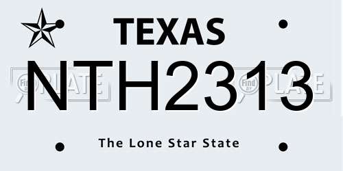 NTH2313 Texas License Plate
