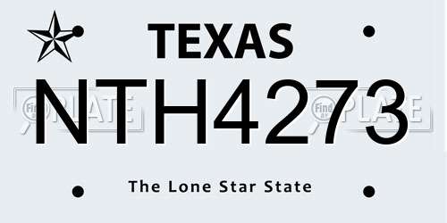 NTH4273 Texas License Plate