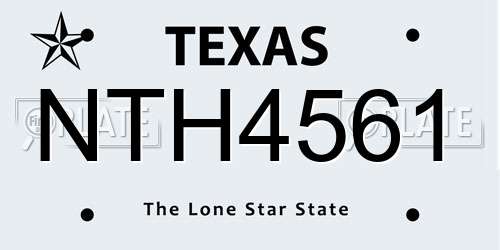 NTH4561 Texas License Plate