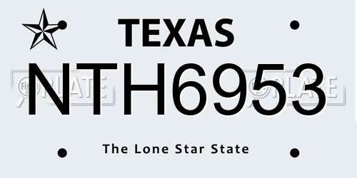 NTH6953 Texas License Plate