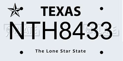 NTH8433 Texas License Plate