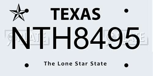 NTH8495 Texas License Plate