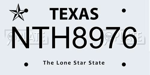 NTH8976 Texas License Plate