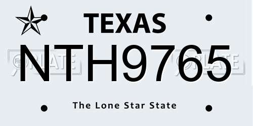 NTH9765 Texas License Plate
