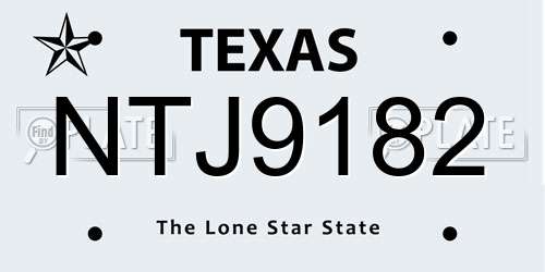 NTJ9182 Texas License Plate