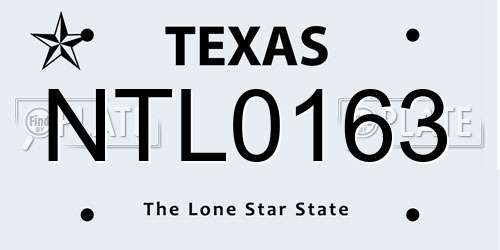 NTL0163 Texas License Plate
