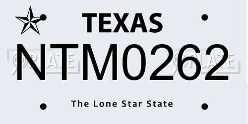 NTM0262 Texas License Plate