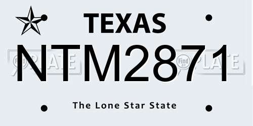 NTM2871 Texas License Plate