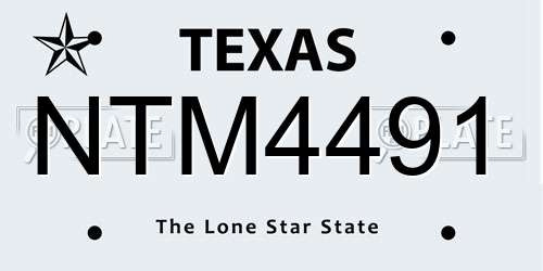NTM4491 Texas License Plate
