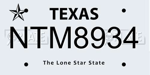 NTM8934 Texas License Plate