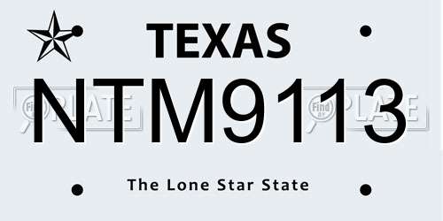 NTM9113 Texas License Plate
