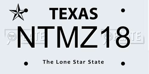 NTMZ18 Texas License Plate