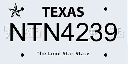 NTN4239 Texas License Plate