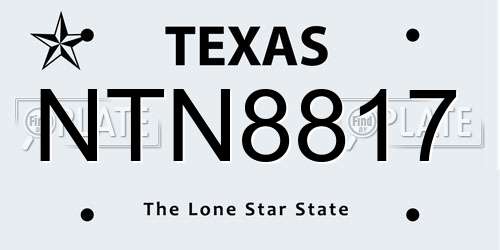 NTN8817 Texas License Plate