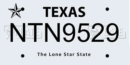 NTN9529 Texas License Plate