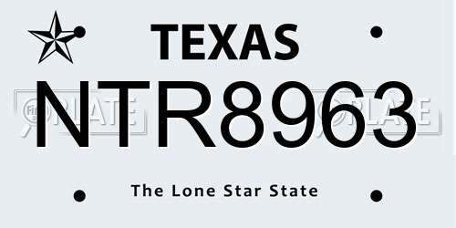 NTR8963 Texas License Plate