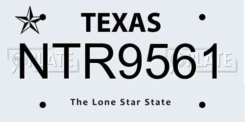 NTR9561 Texas License Plate