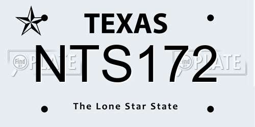 NTS172 Texas License Plate