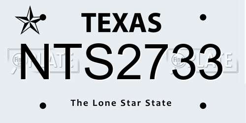 NTS2733 Texas License Plate