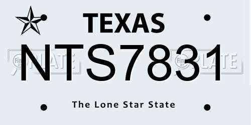 NTS7831 Texas License Plate