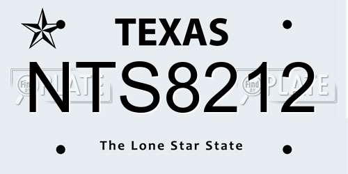 NTS8212 Texas License Plate
