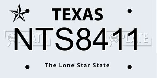 NTS8411 Texas License Plate