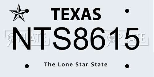 NTS8615 Texas License Plate