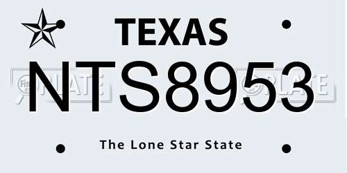 NTS8953 Texas License Plate