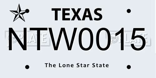 NTW0015 Texas License Plate