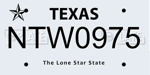 NTW0975 Texas License Plate