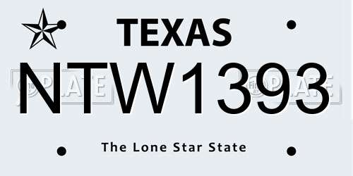 NTW1393 Texas License Plate