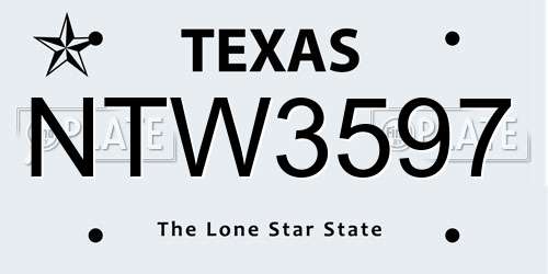 NTW3597 Texas License Plate
