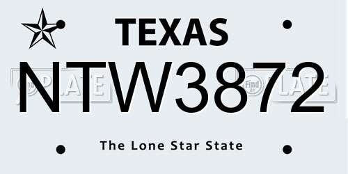 NTW3872 Texas License Plate